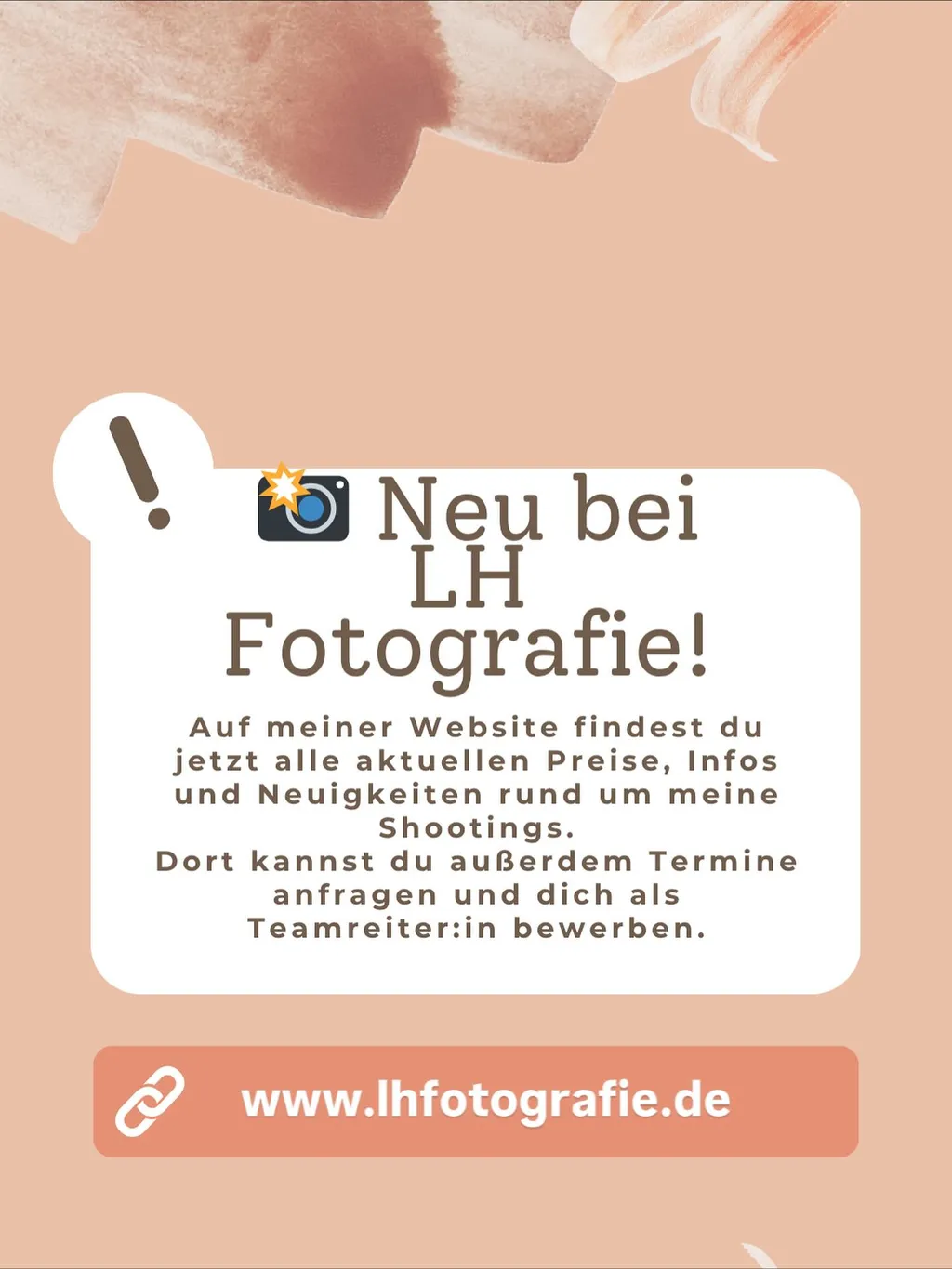 Ein Pferd draussen