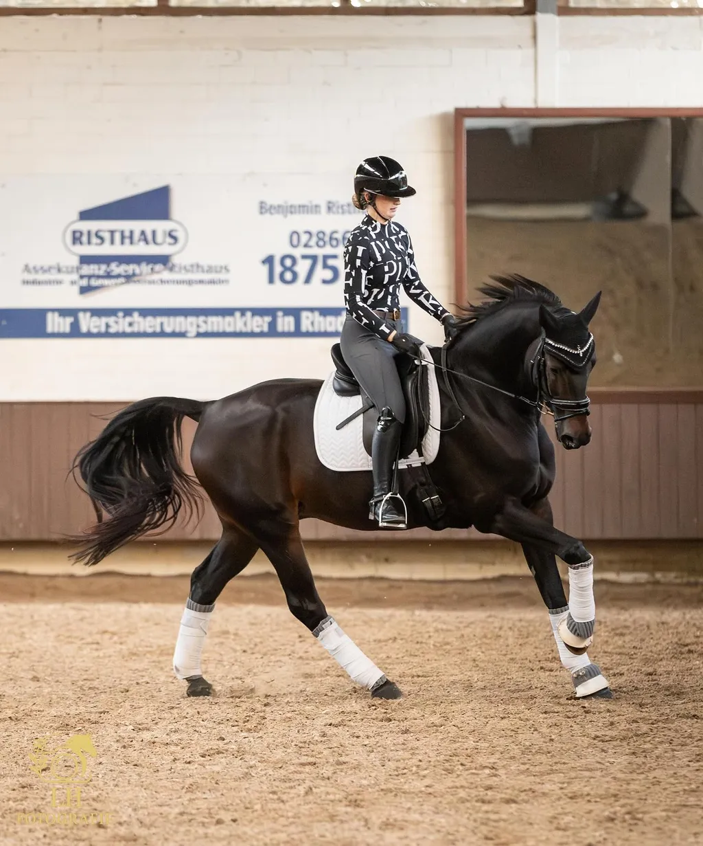 Ein Pferd mit seinem Menschen in Bewegung draussen im Herbst in Dorsten
