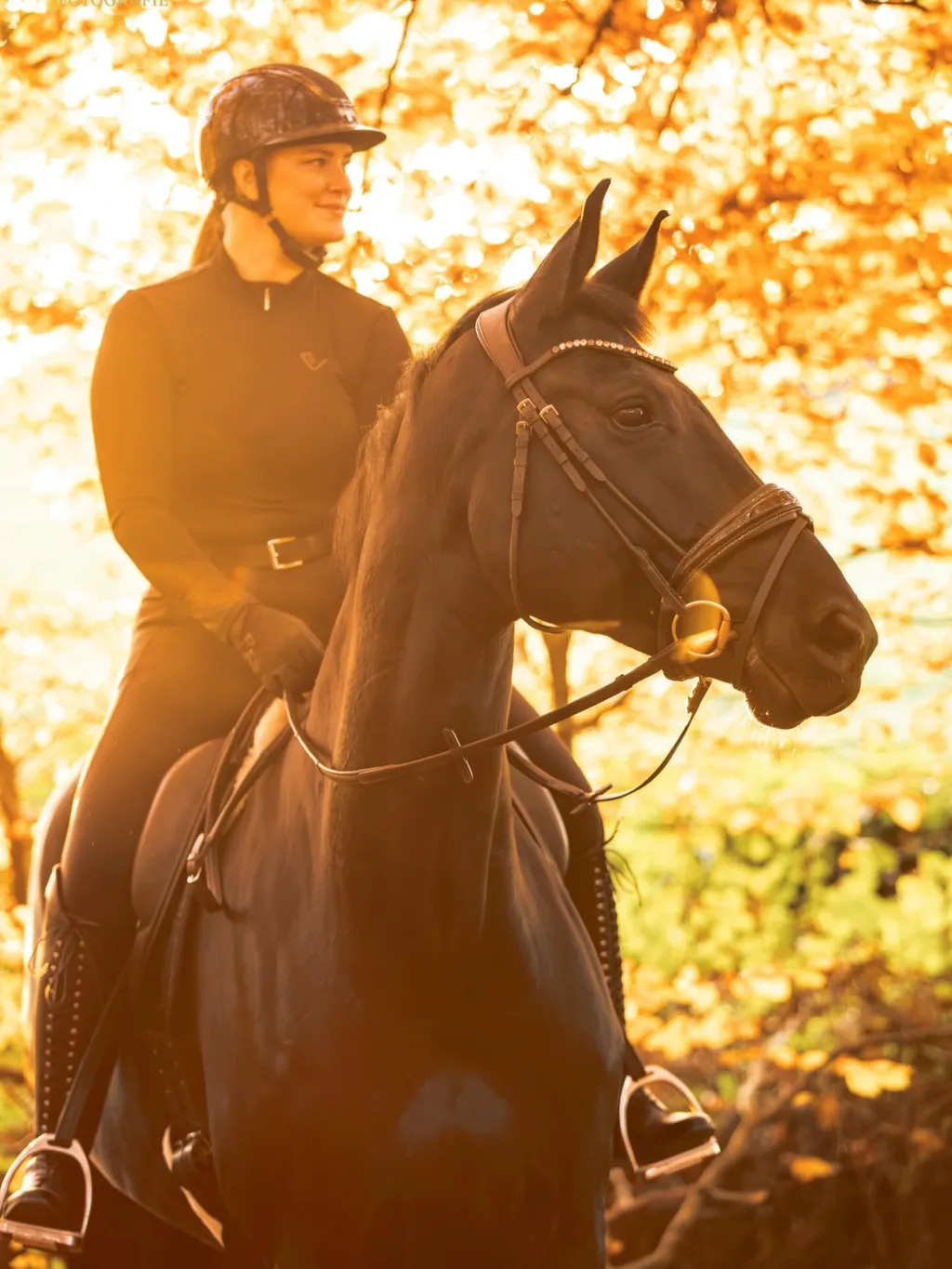 Ein Rappe mit seinem Menschen draussen im Herbst in Nrw