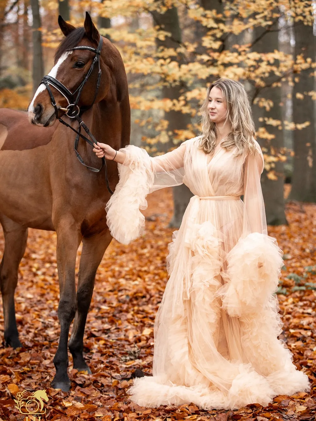 Ein Pferd mit seinem Menschen draussen im Herbst in Reitanlage Elwermann