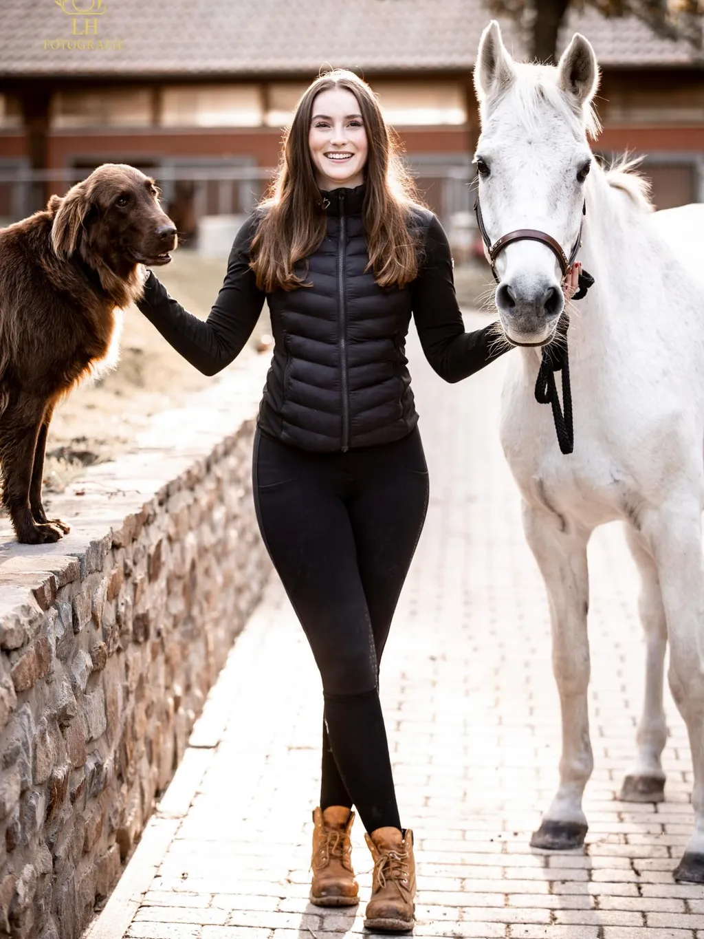 Ein Hund und ein Pferd mit seinem Menschen im warmen Gegenlicht der Abendsonne im Herbst
