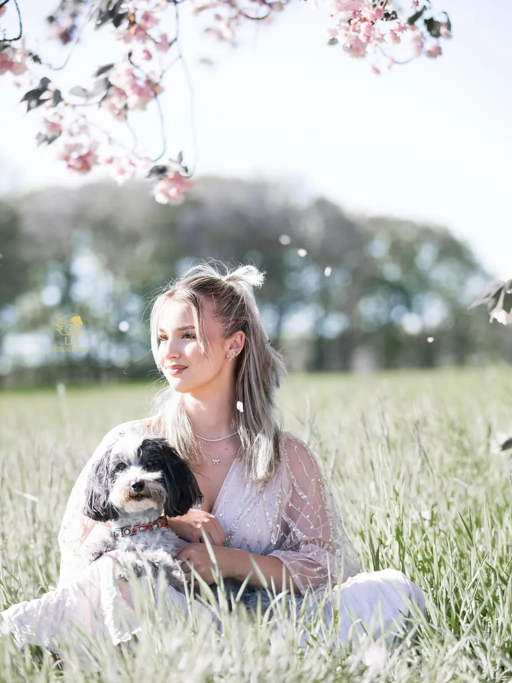 Ein Hund mit seinem Menschen draussen im Frühling