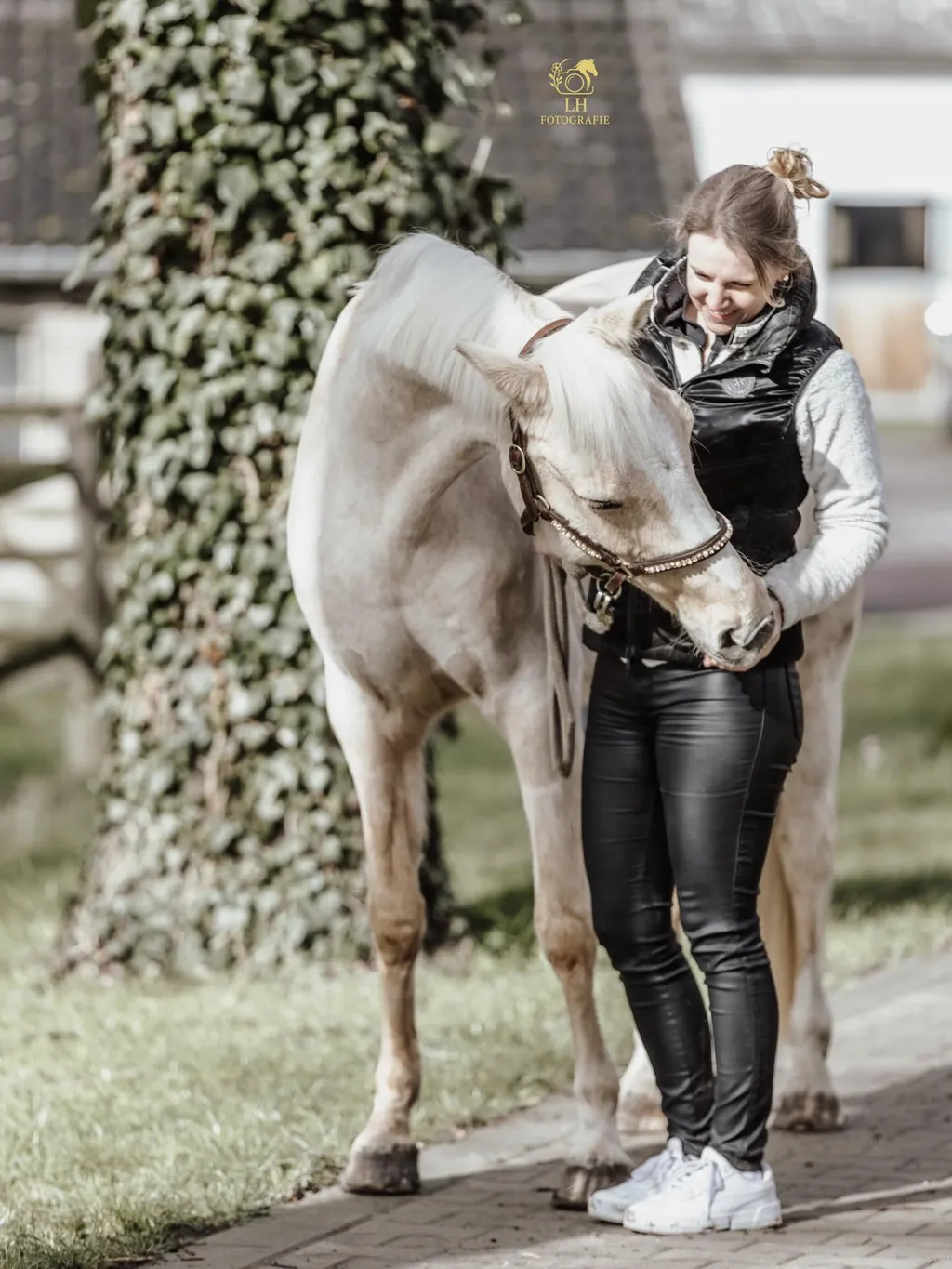 Ein Hund und ein Pferd mit seinem Menschen in Bewegung draussen in Duisburg