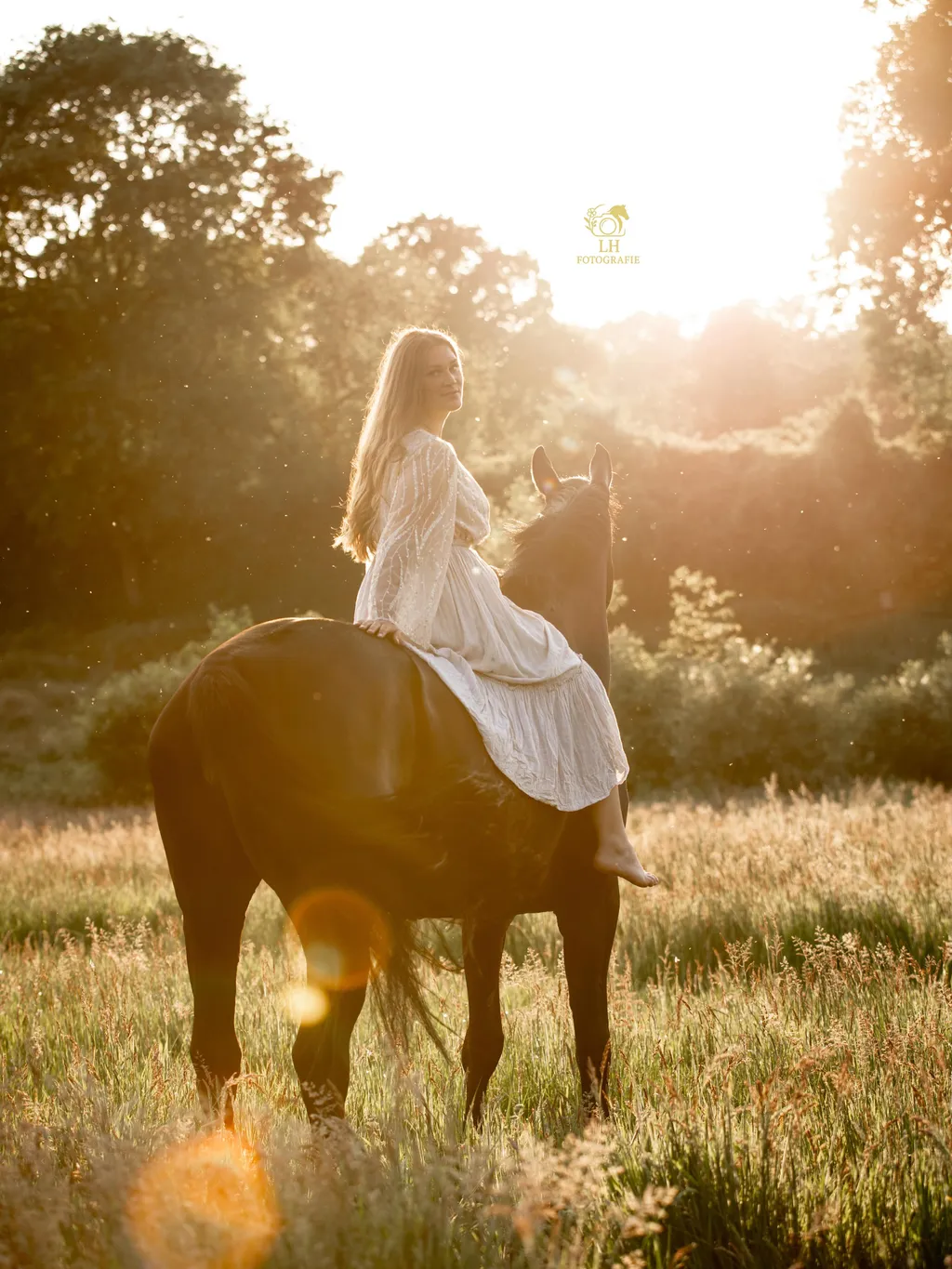 Ein Pferd mit seinem Menschen im warmen Gegenlicht der Abendsonne in Düsseldorf