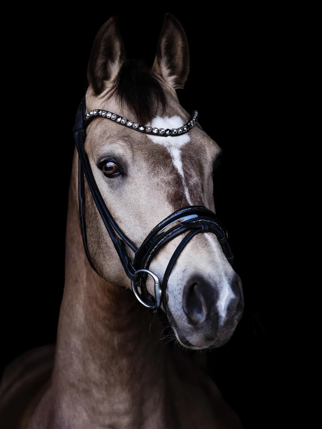 Ein Pony mit seinem Menschen draussen