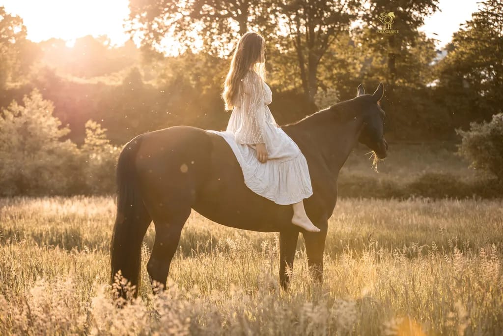 Ein Pferd mit seinem Menschen im warmen Gegenlicht der Abendsonne im Sommer in Witten