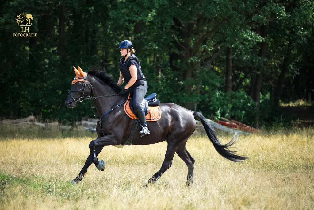 Ein Pferd mit seinem Menschen in Bewegung draussen