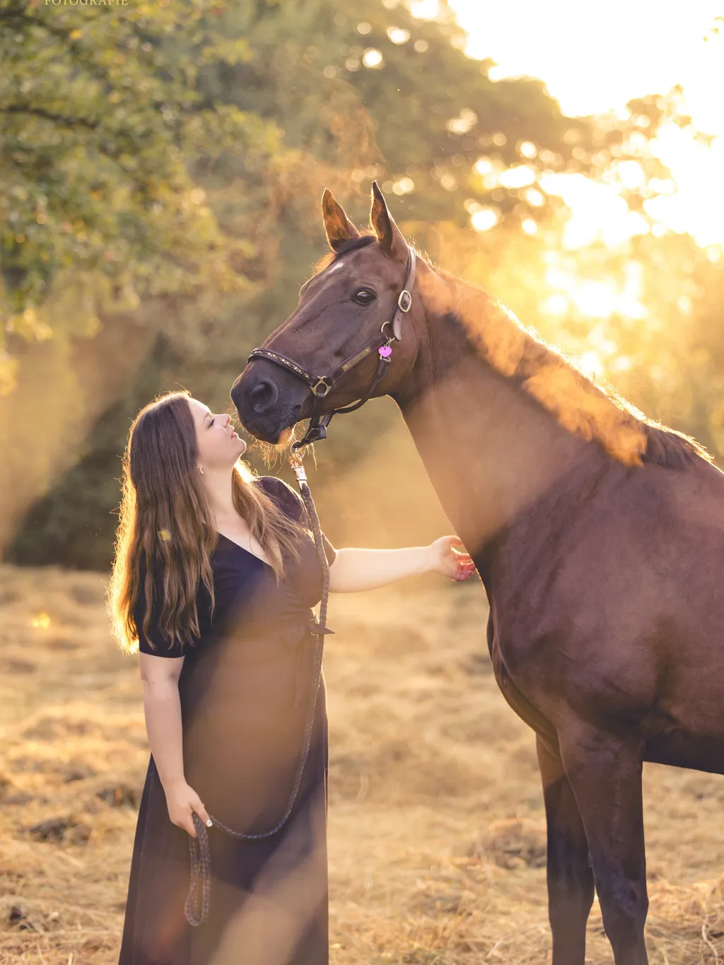 Ein Pferd mit seinem Menschen im warmen Gegenlicht der Abendsonne